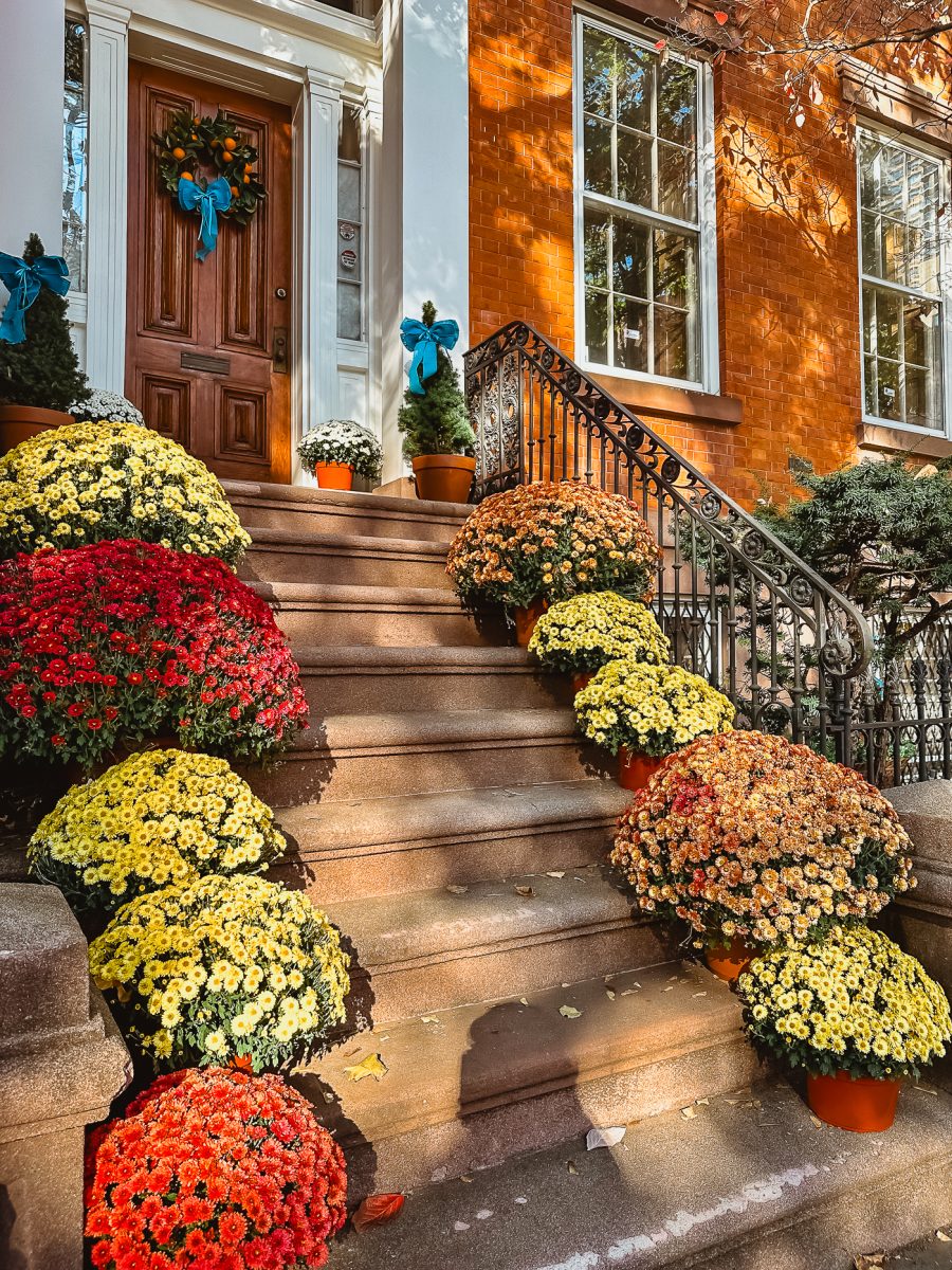 Brooklyn Heights Brownstone Fall Decor with Mums