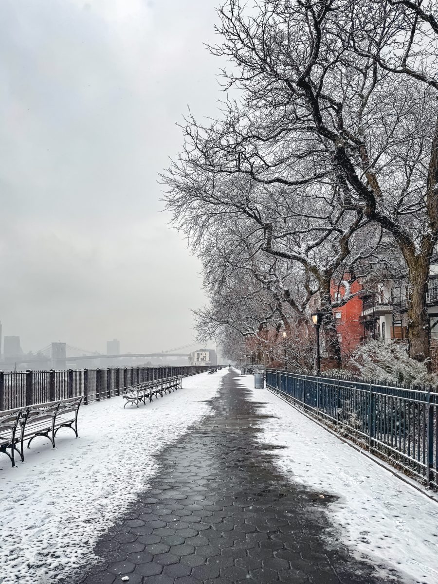Brooklyn Heights Promenade in winter