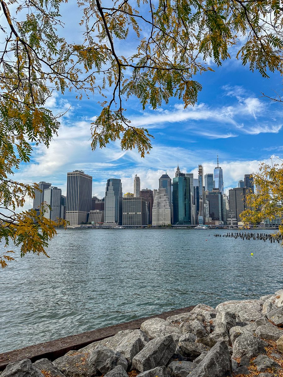 View of Lower Manhattan from Brooklyn Bridge Park