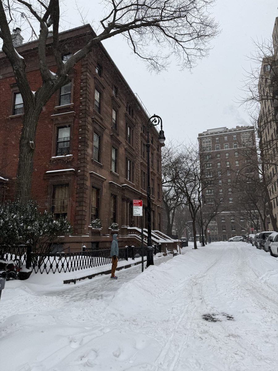 Brooklyn Heights in the Snow